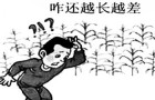 测土配方施肥技术