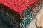新型彩色透水混凝土施工工艺