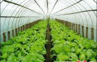农业温室大棚环境监测系统/温湿度控制设计方案