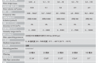 VSE流量计中的经济实惠型