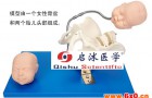 经济型助产模型,带有胎儿头的骨盆模型