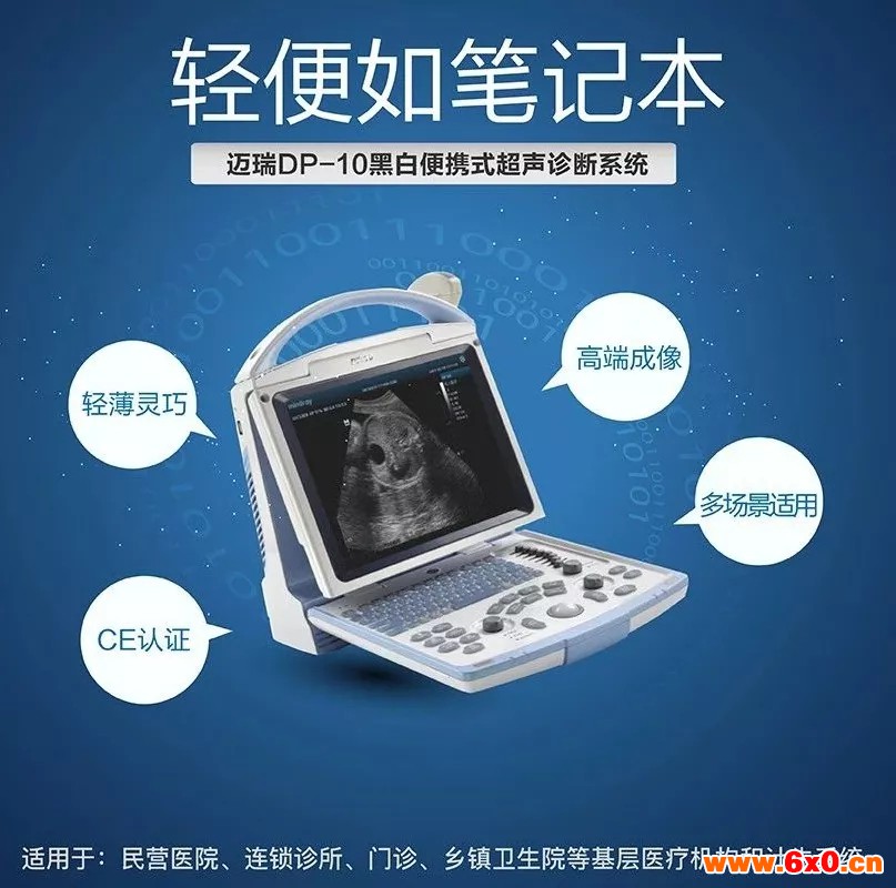 迈瑞黑白B超机DP-10
