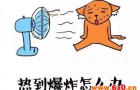 危化品储放不正确，别等到事故发生了再来后悔！