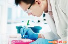 快速准确的化验醇基燃料锅炉油热值仪