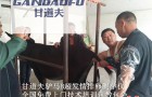 驴马用B超发情排卵测孕仪使用方法