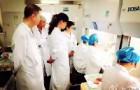 鑫贝西Ⅱ级生物安全柜