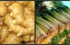 脱水蔬菜水分测定仪应用种类/技术参数