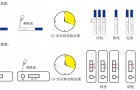 小麦中呕吐毒素限量标准及小麦呕吐毒素检测方法