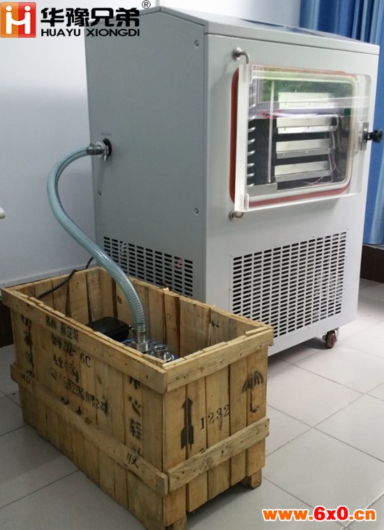 LGJ-30FD（电加热）原位冷冻干燥机
