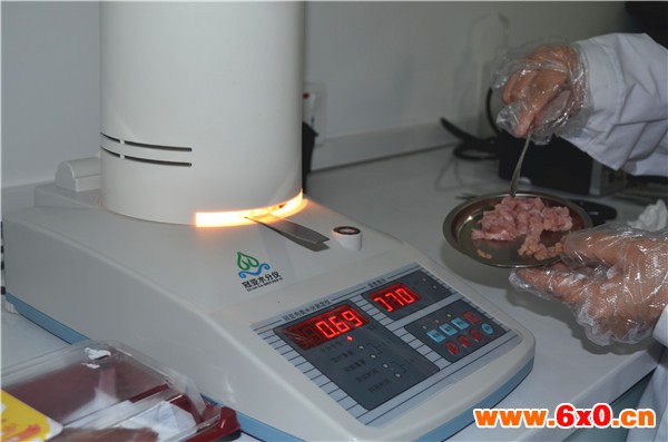 鸡肉水份检测仪