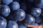 质构仪测定贮运期间葡萄品质变化