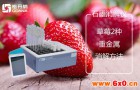 石墨消解仪-草莓2种重金属消解方法