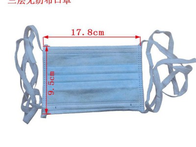 深圳防护口罩图片 防护口罩生产厂家 防护口罩价格