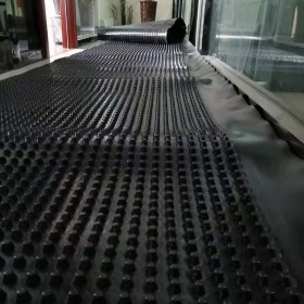 供应吕梁1.2公分滤水板+晋城屋顶排水板厂家