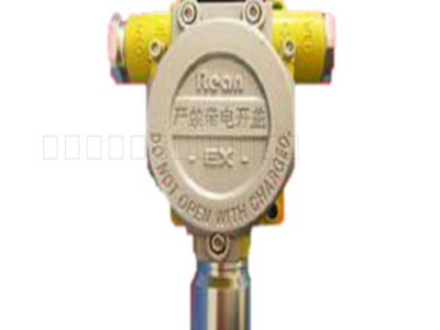 RBK-6000-ZLGX一氧化碳气体器