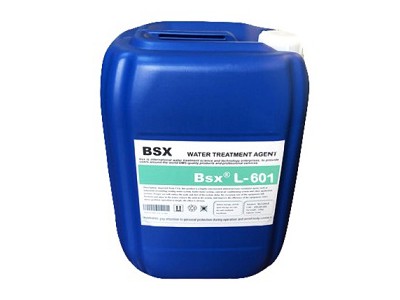 冷凝器杀菌剂L-601丹东油漆厂循环水