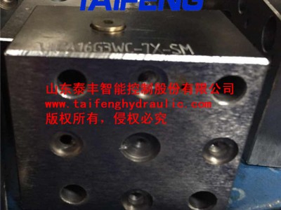 TLFA016G3WC-7X型控制盖板