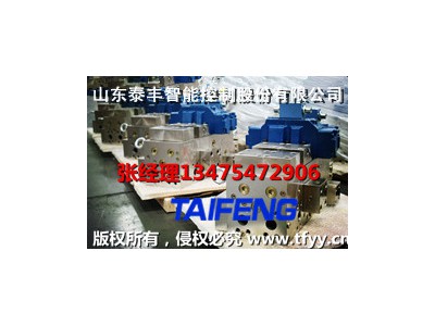 泰丰现货供应YN32-100GSCV带快速缸