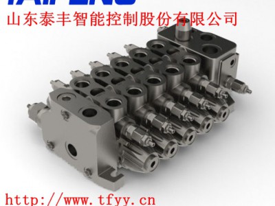 泰丰液压厂家现货直销TRM20-BX-08-L