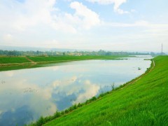 江苏维也维山绿化混凝土：净化水质、美化河道