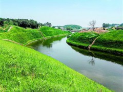 江苏维也维山生态混凝土实现“混凝土”上种植被