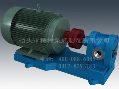 上海齿轮油泵定做-泊特泵-厂家零售2CY系列齿轮泵