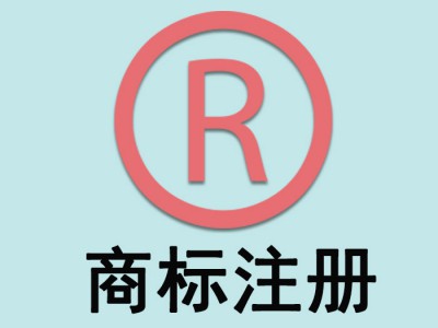 徐汇区财驴app，网站建设，小程序，自媒体运营服务