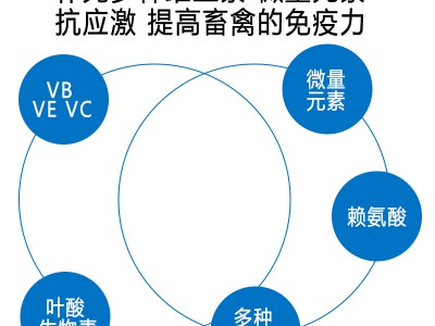 兽用复合维生素水溶性2008金维它可饮水可拌料水产