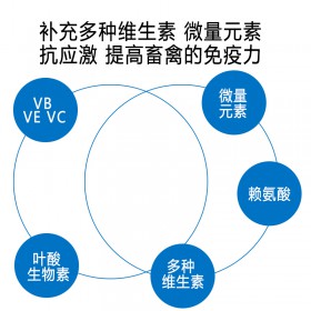 兽用复合维生素水溶性2008金维它可饮水可拌料水产