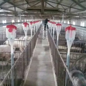 上海自动养猪设备企业-开元厂价定制猪场自动喂料设备设计