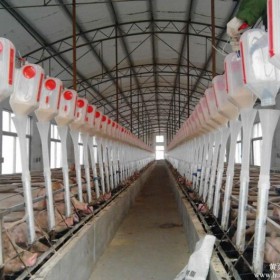 天津现代化养猪设备厂家-泊头开元畜牧厂价订购畜牧自动喂料系统