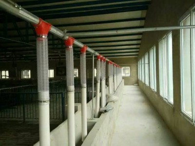 四川养猪设备生产企业/泊头开元畜牧厂价猪场现代化喂料系统