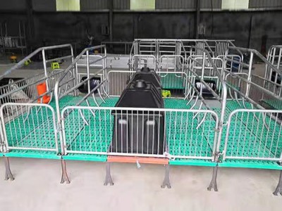 母猪产床厂家直供/金码畜牧设备安全
