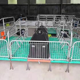 母猪产床厂家直供/金码畜牧设备安全可靠