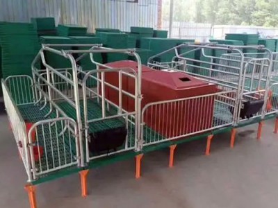 母猪产床订做厂家/泊头市金码畜牧设备有限