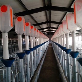 福建自动化养猪设备厂家-开元厂家定制自动喂料系统