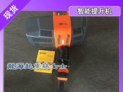 诺力顿智能提升机用于电子行业附带
