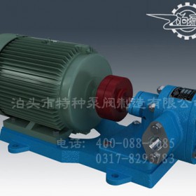 天津不锈钢齿轮泵批发/泊头特种泵厂价批发齿轮油泵