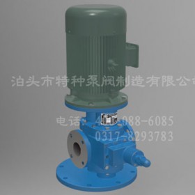 内蒙古齿轮泵定制生产-泊头特种泵厂价直营圆弧齿轮油泵