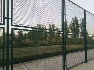 山东省济南市 球场围网 体育场围栏 