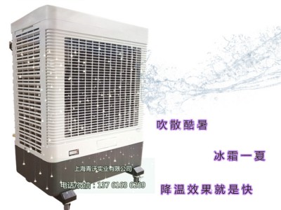 雷豹高品质冷风机 多种场所降温水空调扇