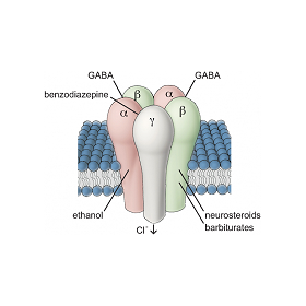 GABA通道|药物筛选服务|靶点筛选|爱思益普生物