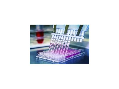GPCR|激酶筛选服务|靶点筛选|离子通