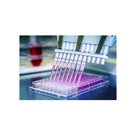 GPCR|激酶筛选服务|靶点筛选|离子通道服务|药物筛选