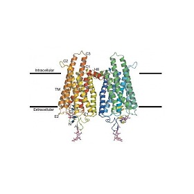 GPCR靶点筛选|离子通道|激酶谱|GPCR
