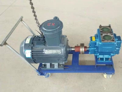 陕西圆弧齿轮泵生产企业/世奇油泵/厂家订制YHCB圆弧齿轮泵