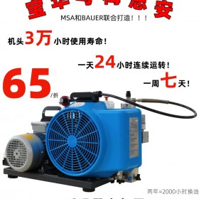 梅思安100TETW电动空气呼吸器充气携高压呼吸空气压缩机