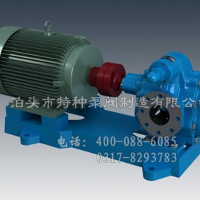 新疆油泵定制生产-泊头特种泵厂家零售齿轮泵