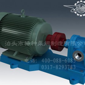 江苏不锈钢齿轮泵定制-泊特泵厂价批发2CY齿轮泵