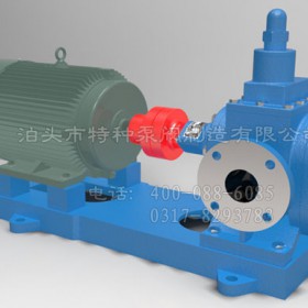 江西不锈钢齿轮泵定制加工/泊头特种泵厂价直营YHB型齿轮泵